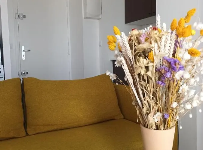 公寓 Balcony Floor 巴黎